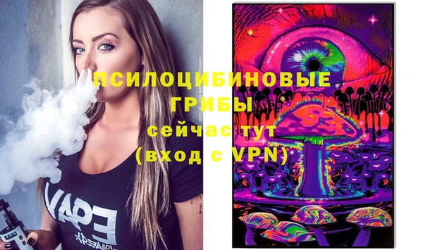COCAINE Богородск