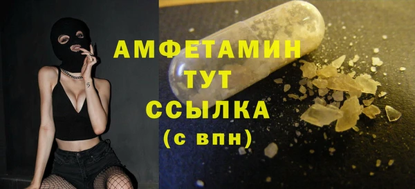 спиды Богородицк