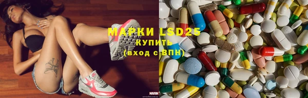 спиды Богородицк
